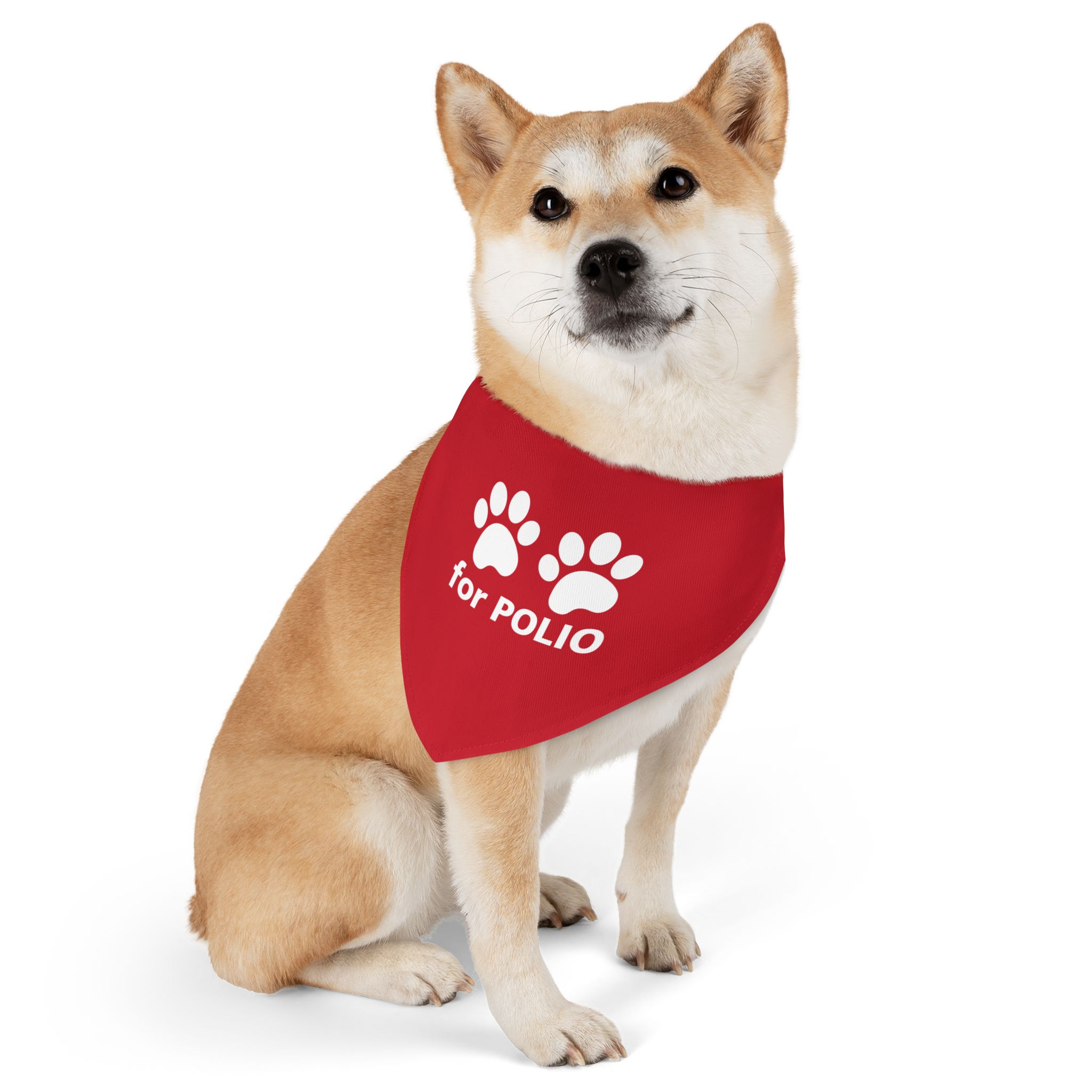 Paws for Polio Pet Bandana Collar